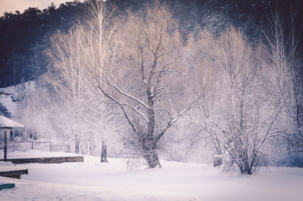 В белой дымке
