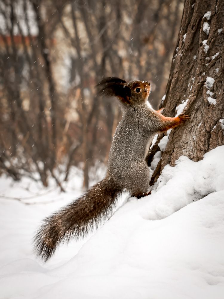 Photograph by Елена Цырюк