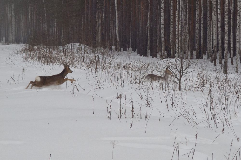 Photograph by Александр