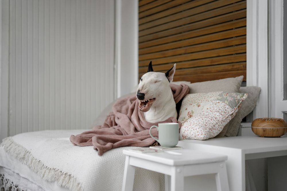 Photograph by Андрианова Ирина