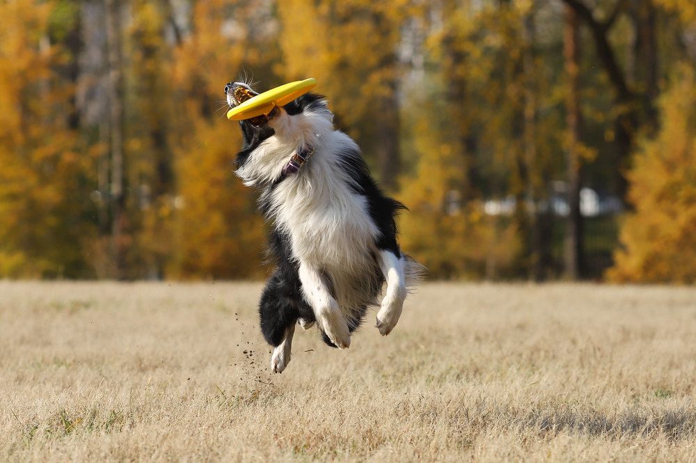 Photograph by Ольга Колобова