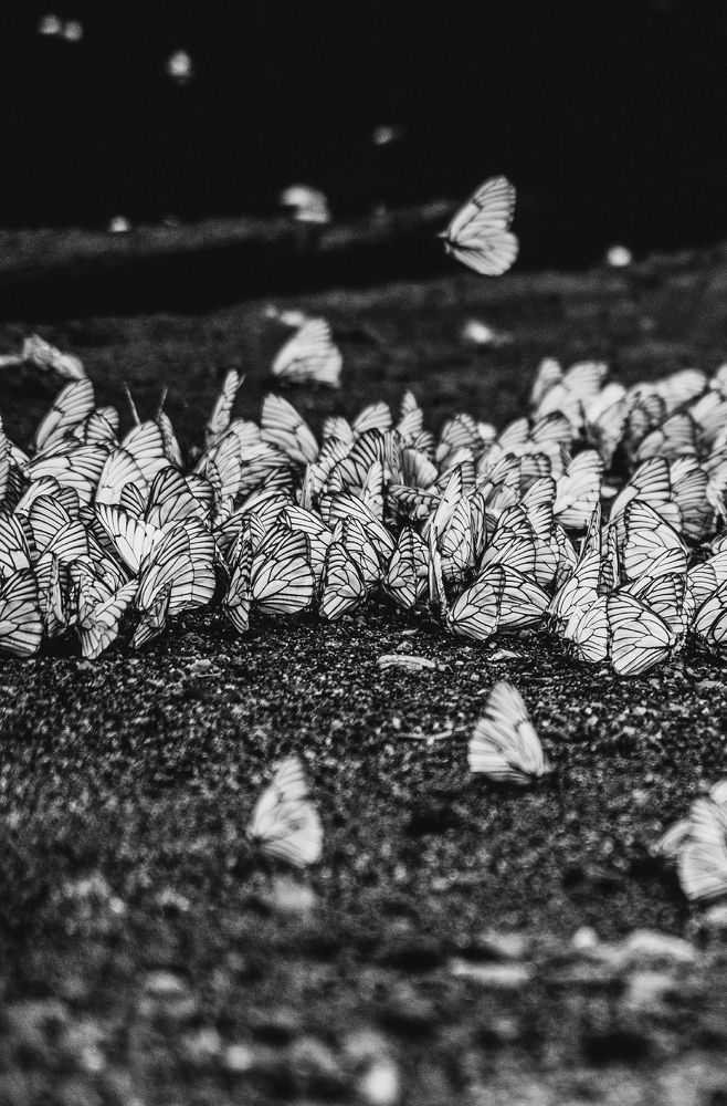 Photograph by Никита Максимов