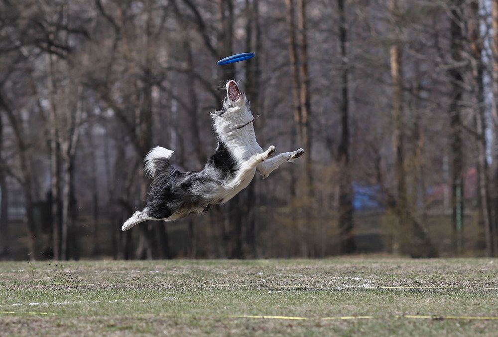 Photograph by Ольга Колобова