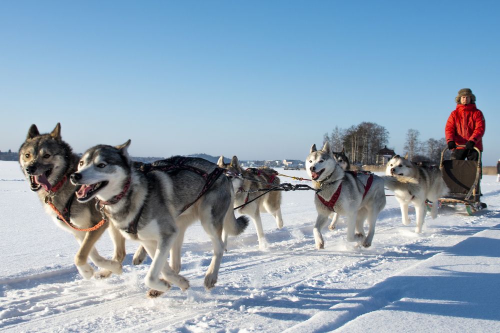 Photograph by Екатерина Якель