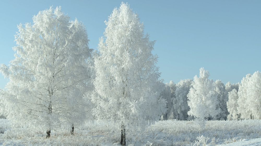 Photograph by Дмитрий Васильев