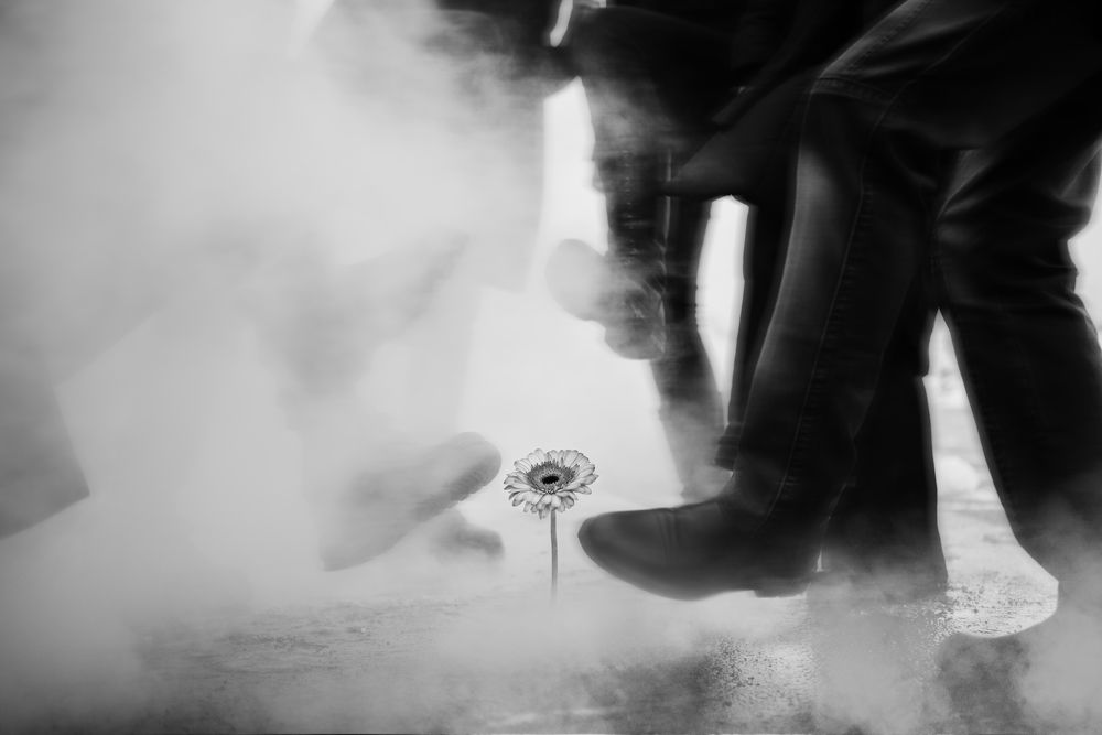 Photograph by A.Strelkovv