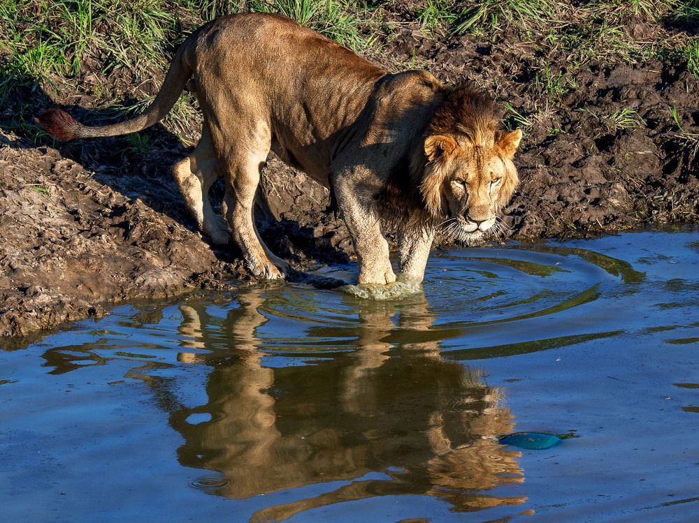 Photograph by Сергей Тузлуков