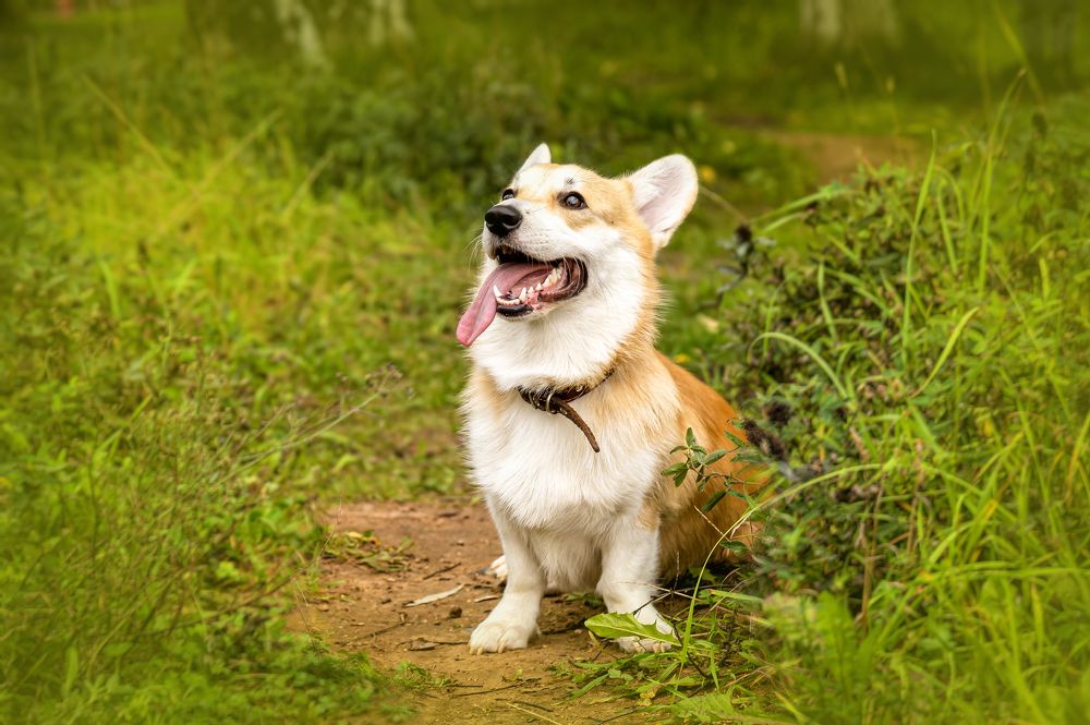 Photograph by Екатерина и Сергей Кузнецовы