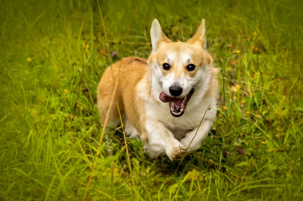 Photograph by Екатерина и Сергей Кузнецовы