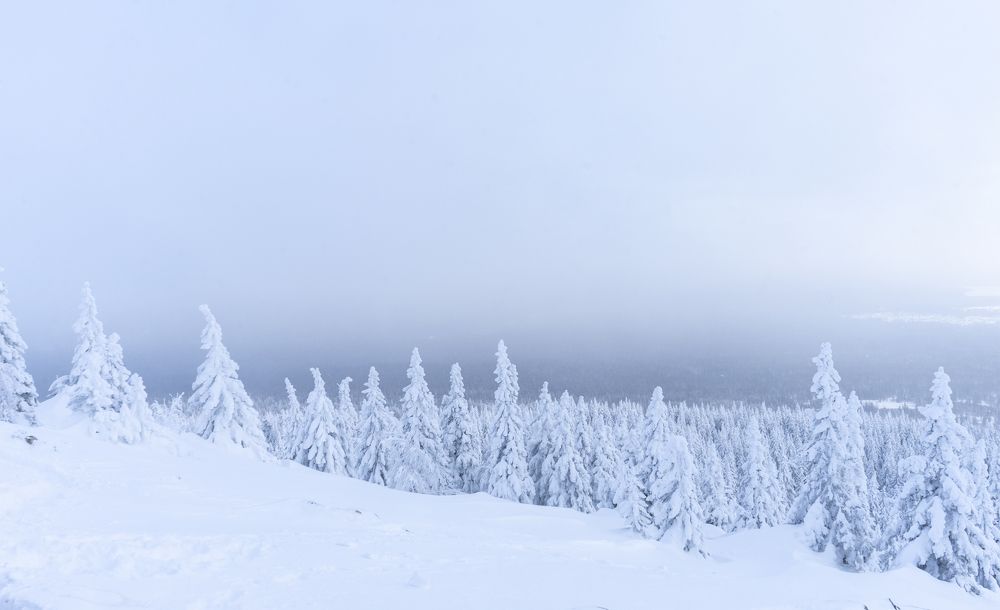 Photograph by Сергей Хранитель