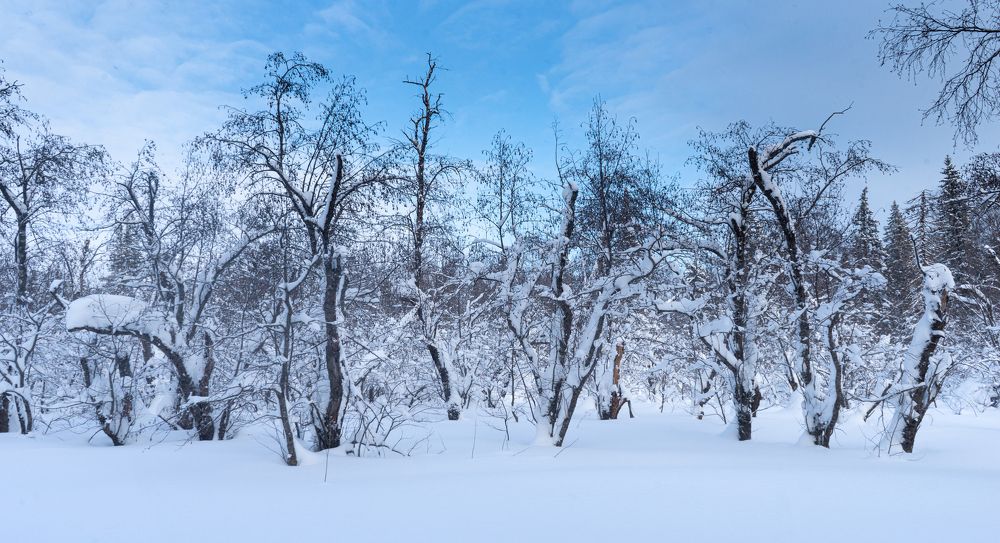 Photograph by Сергей Хранитель