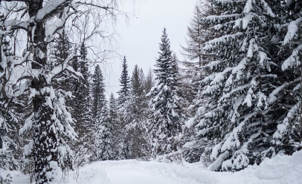 Photograph by Сергей Хранитель