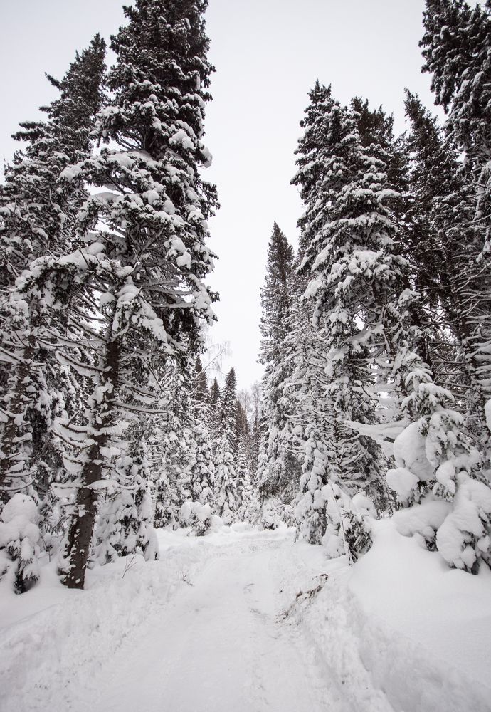 Photograph by Сергей Хранитель