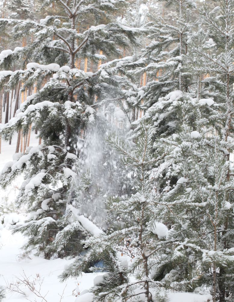 Photograph by Татьяна Билдуева