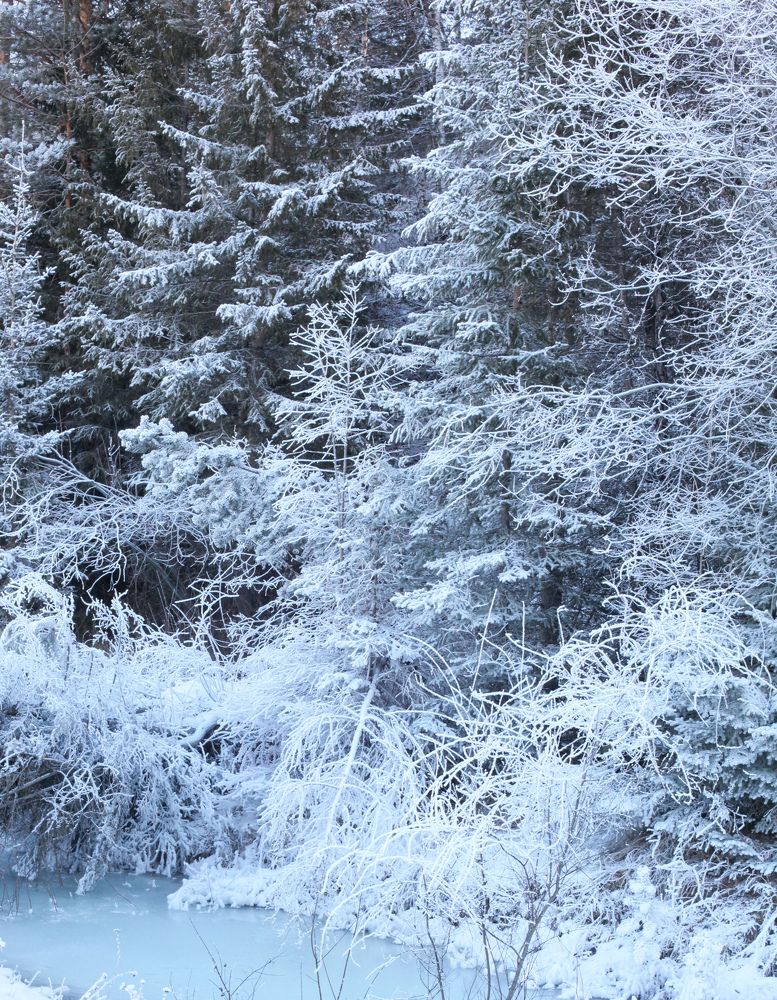 Photograph by Татьяна Билдуева