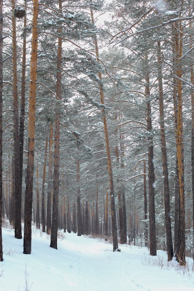 Photograph by Татьяна Билдуева