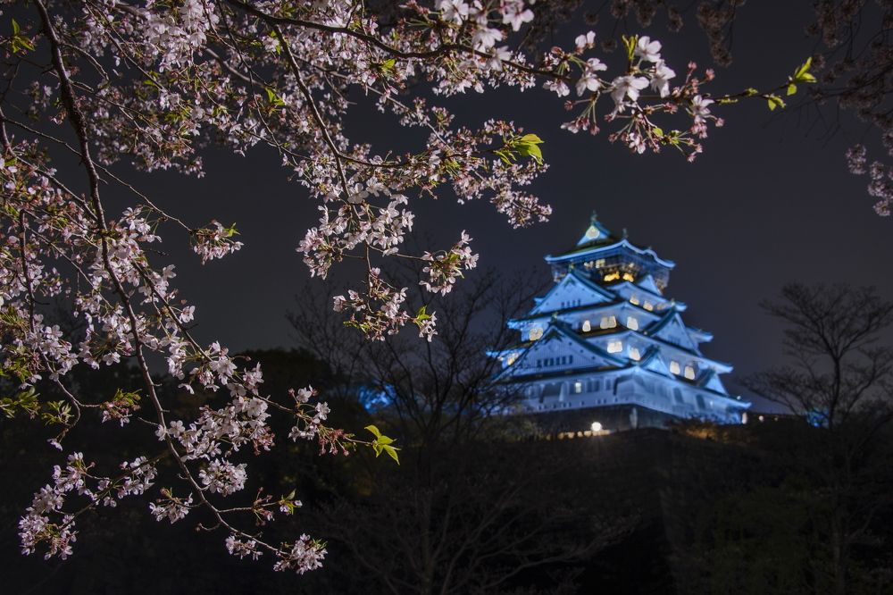 Photograph by Валентин Казанцев