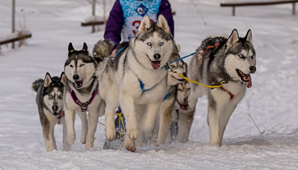 Photograph by Ольга Ченцова