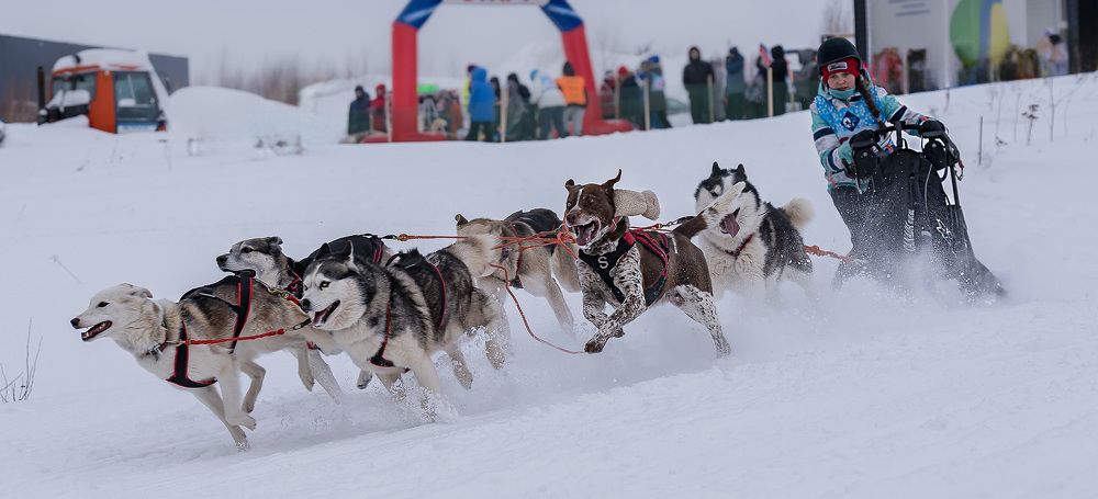 Photograph by Ольга Ченцова