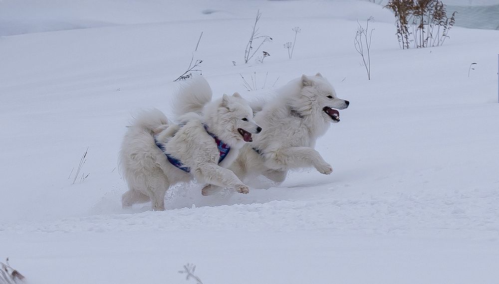 Photograph by Ольга Ченцова