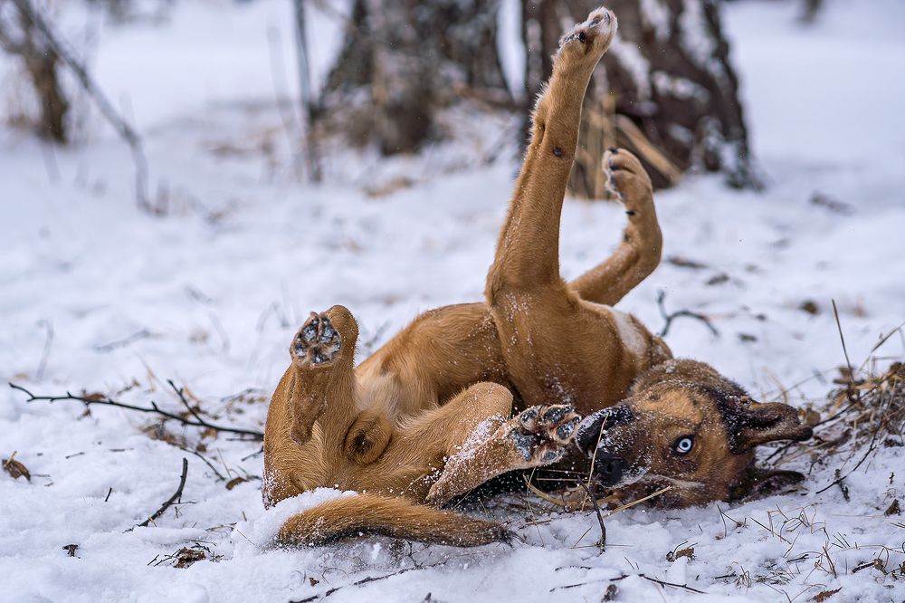 Photograph by Ольга Ченцова