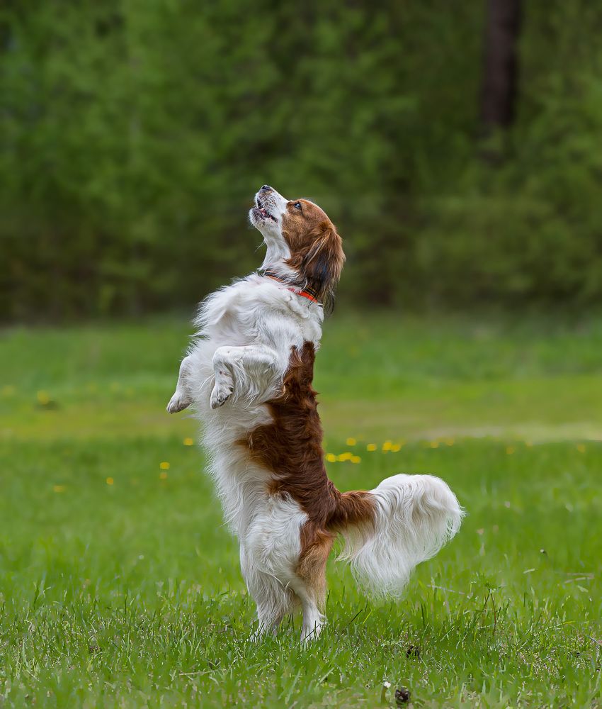 Photograph by Ольга Ченцова