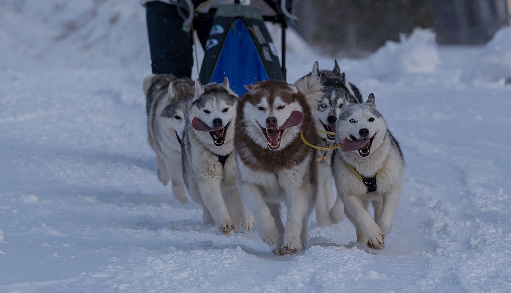 Photograph by Ольга Ченцова