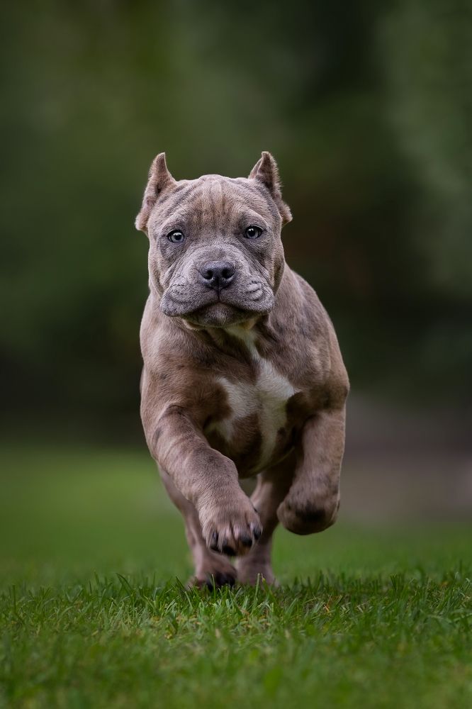 Photograph by Мария Мадзик