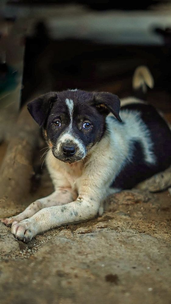 Photograph by Shubham Mahapatro