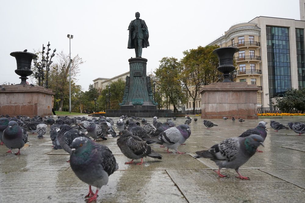 Photograph by Елена Копейкина