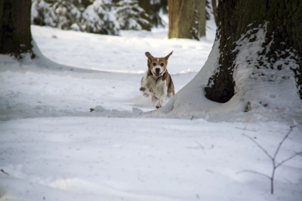 Photograph by Кристина