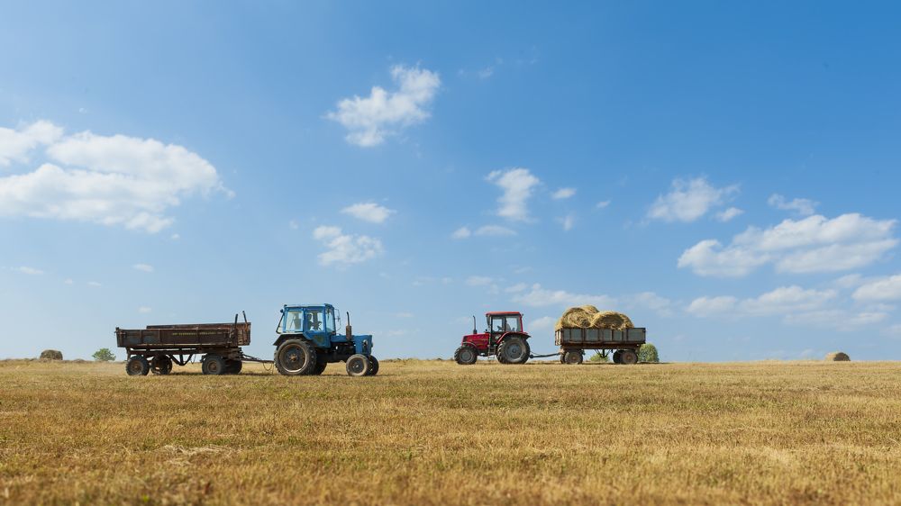 Photograph by Алексей Бортиков