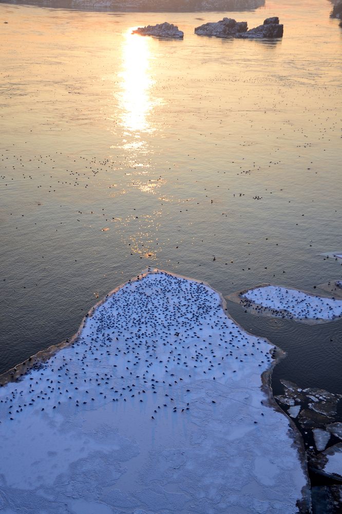Фотография автора Евгений