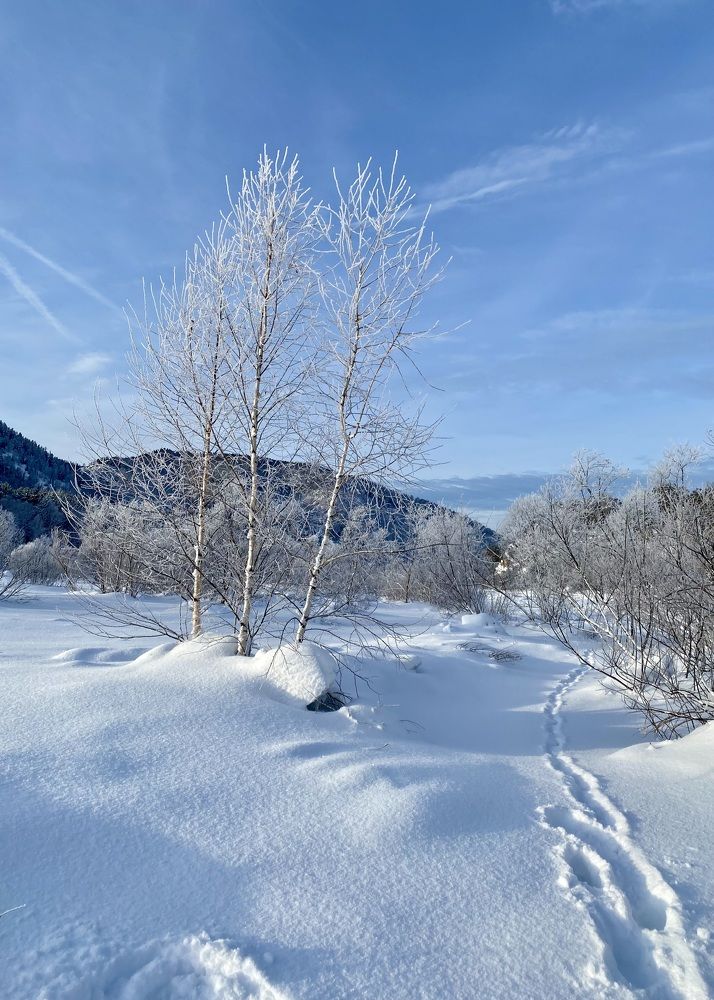 Photograph by Светлана Дмитриева