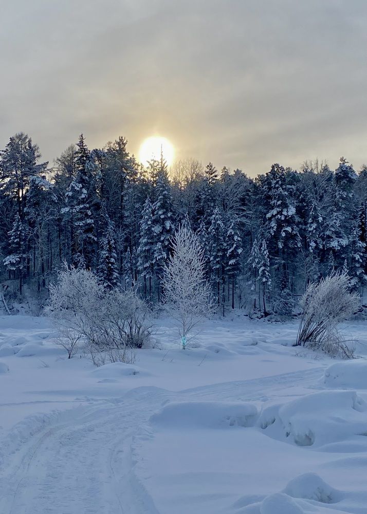 Photograph by Светлана Дмитриева