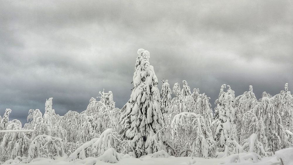 Photograph by Игорь