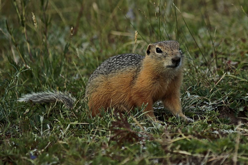 Photograph by Александр Велигура