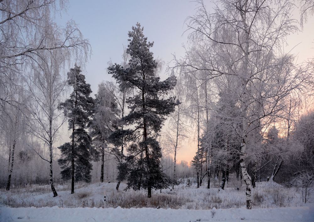 Фотография автора Ольга Лихтарь