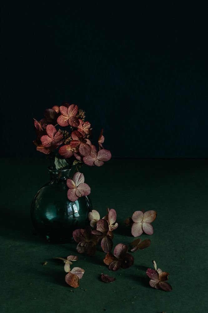 Photograph by Elena Kilina