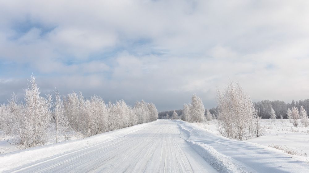Фотография автора Кушпилева Марина