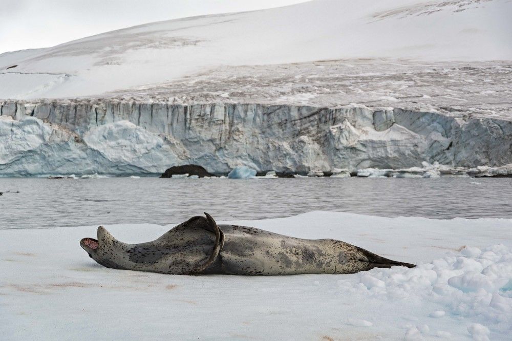 Photograph by Ованес Агарян