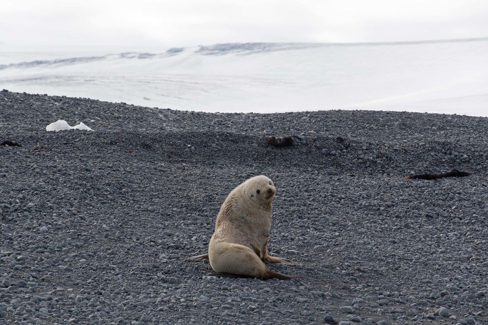 Photograph by Ованес Агарян