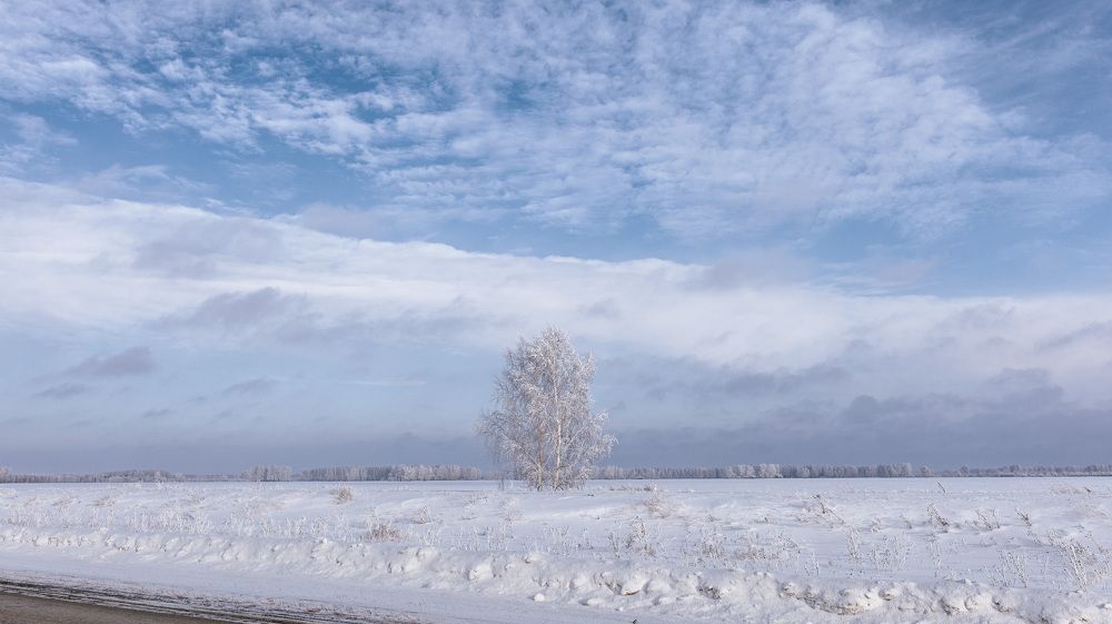 Фотография автора Кушпилева Марина