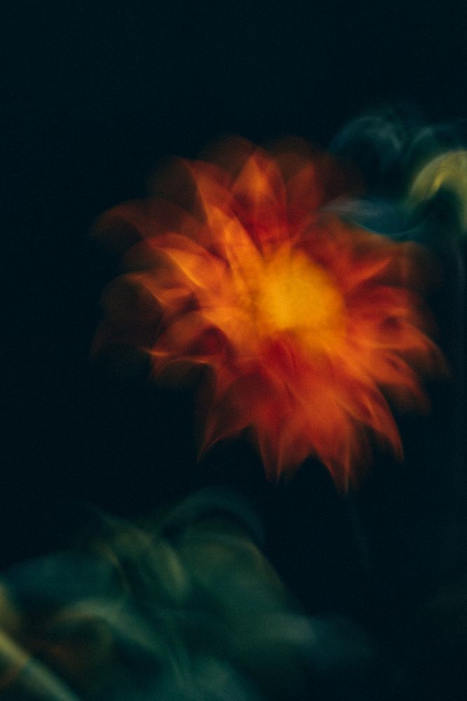 Photograph by Elena Kilina