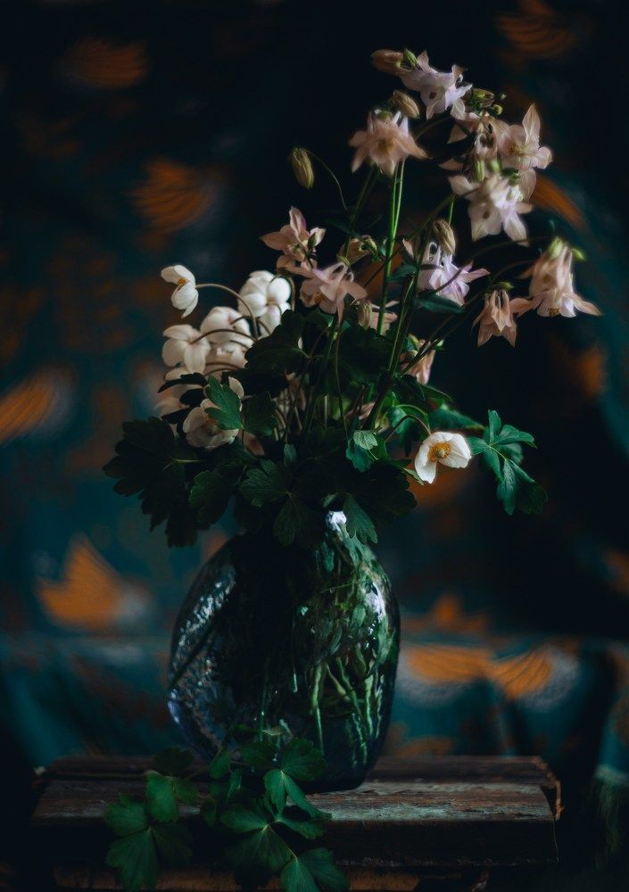 Photograph by Elena Kilina