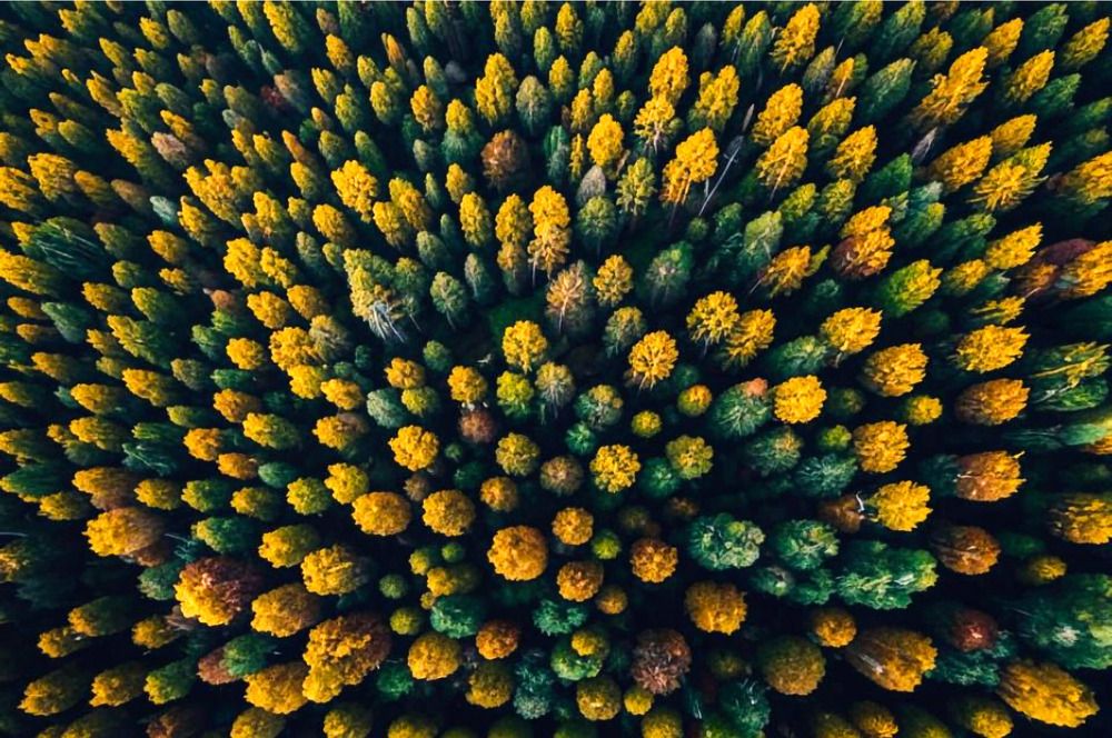 Photograph by Дария Ризниченко