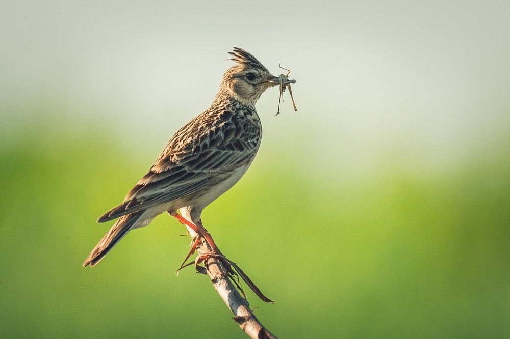 Photograph by Вячеслав Ладанов