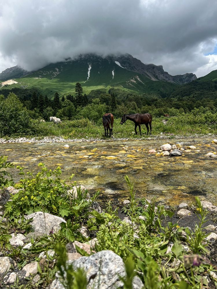 Photograph by Мария Гончарова