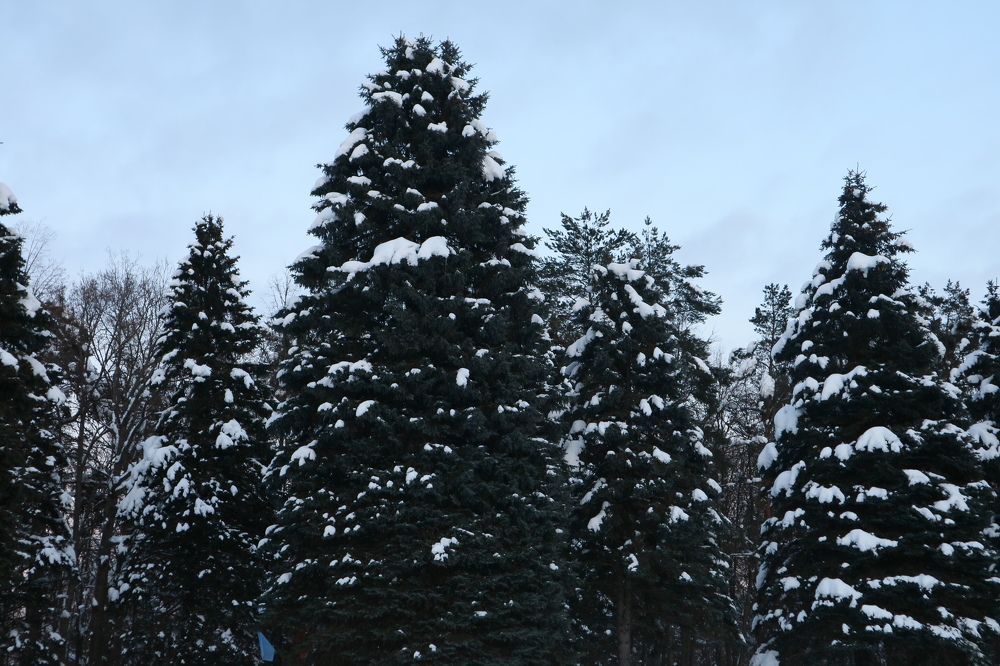 Photograph by KOREYSHA ILYA