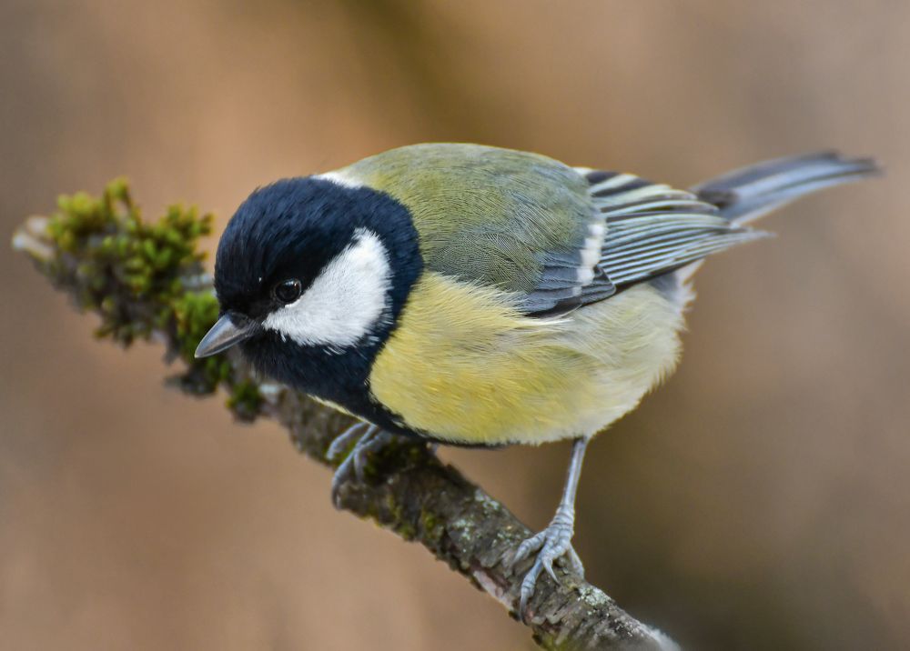 Photograph by Наталья Екимова